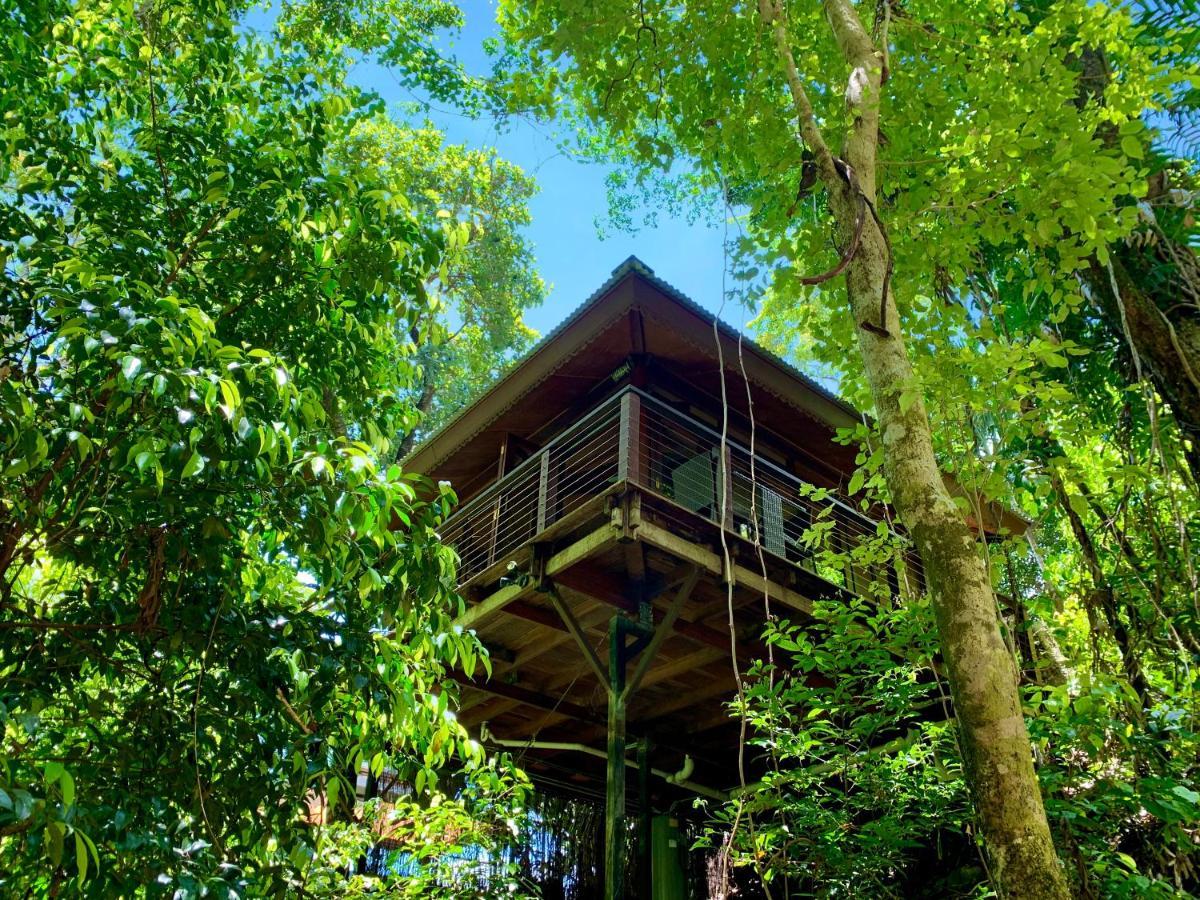 Cairns Rainforest Retreat Exterior photo