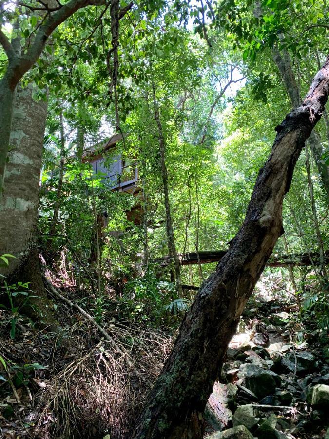 Cairns Rainforest Retreat Exterior photo
