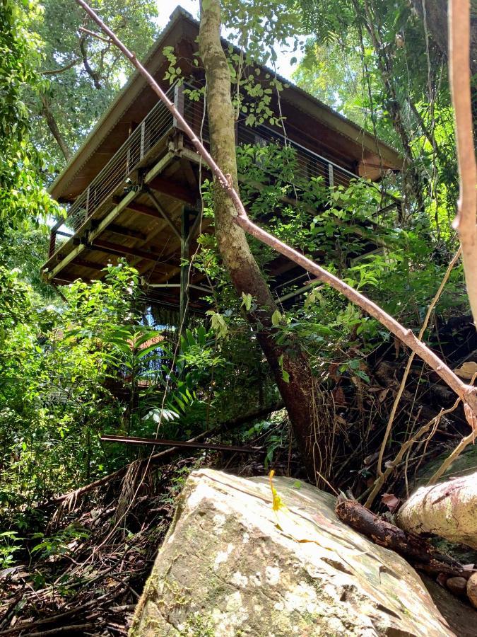 Cairns Rainforest Retreat Exterior photo