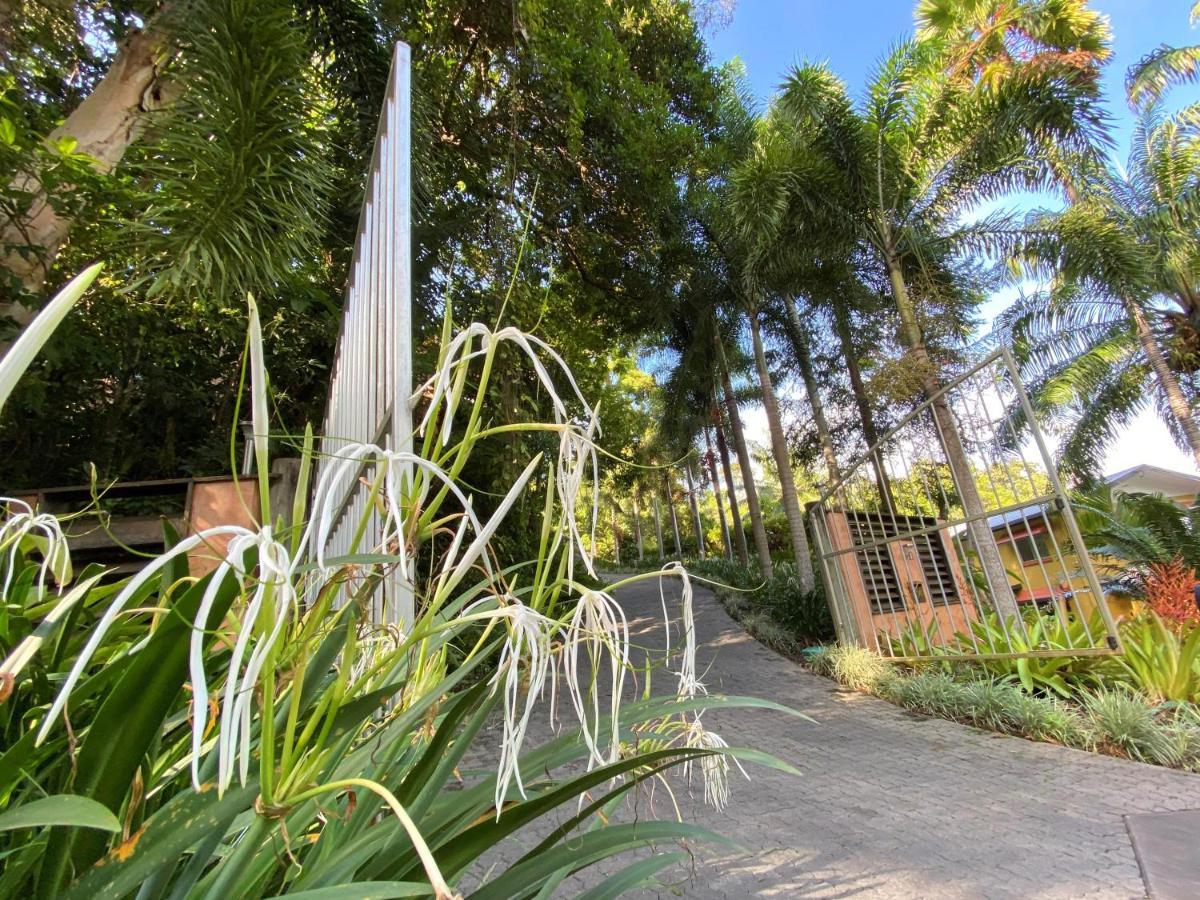 Cairns Rainforest Retreat Exterior photo